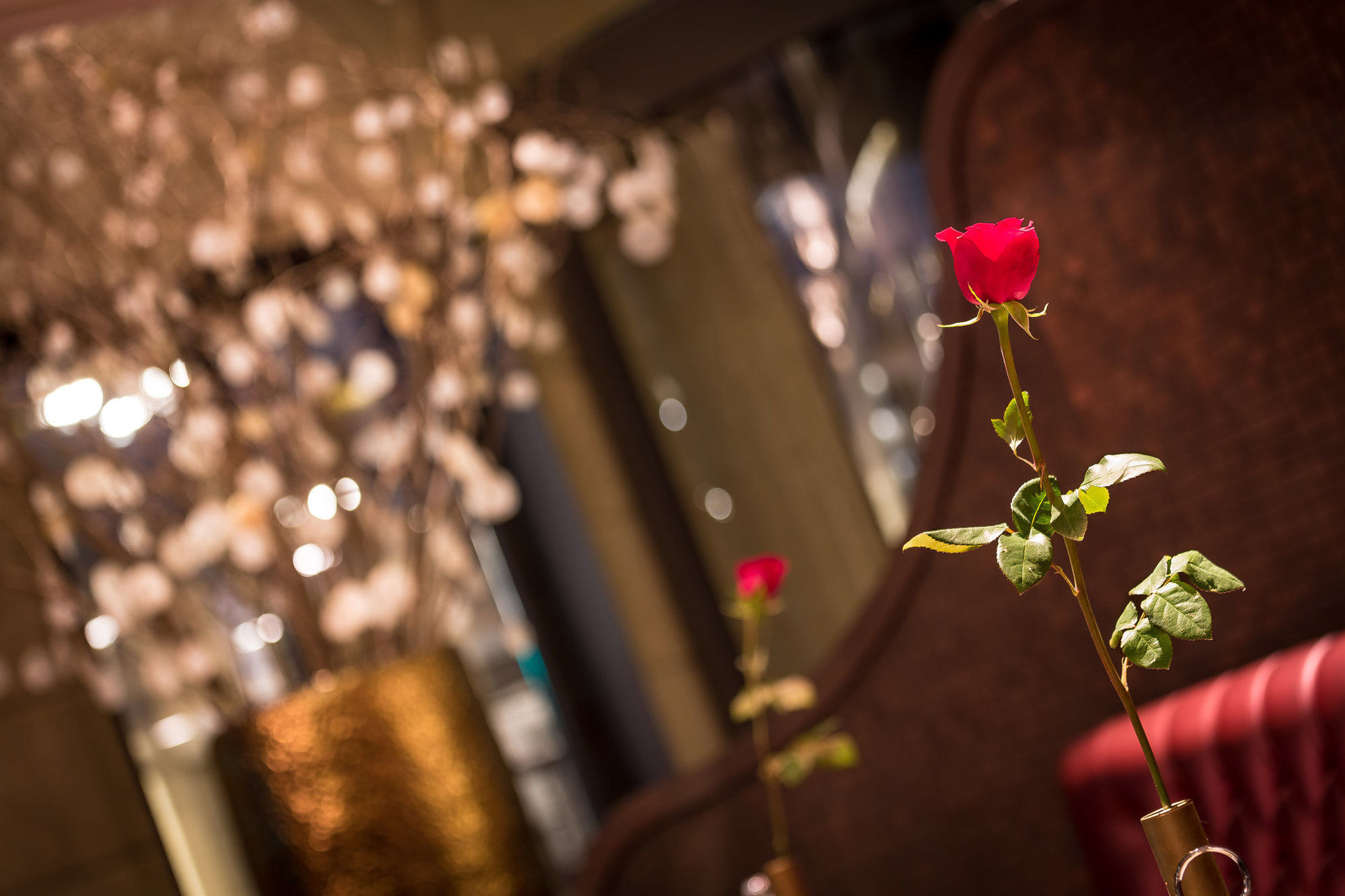 Hotel Bagues, A Small Luxury Hotel Of The World Barcelona Restaurant foto